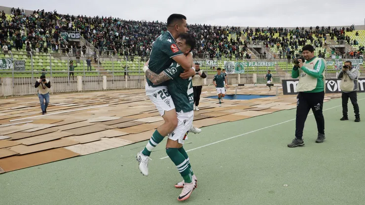 Caturros buscan nueva casa.