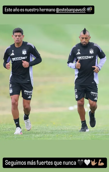 El juramento de Esteban Vidal y Esteban Pavez