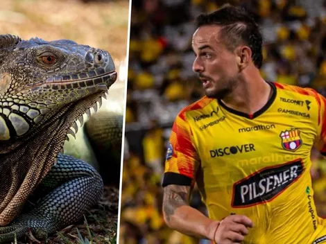 La U cambia al modo iguana por Octavio Rivero