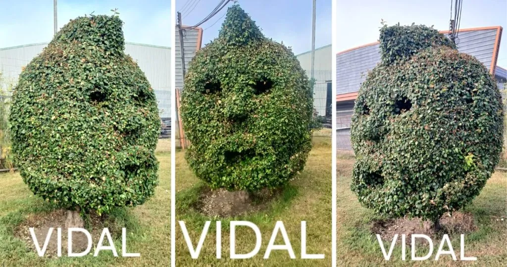 Imagen: Radio Bio Bio.