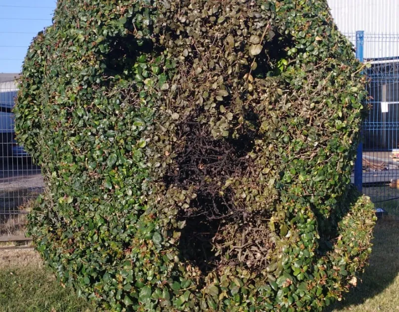 La obra en honor a Arturo Vidal fue vandalizada. | Foto: TVN Red Biobío.