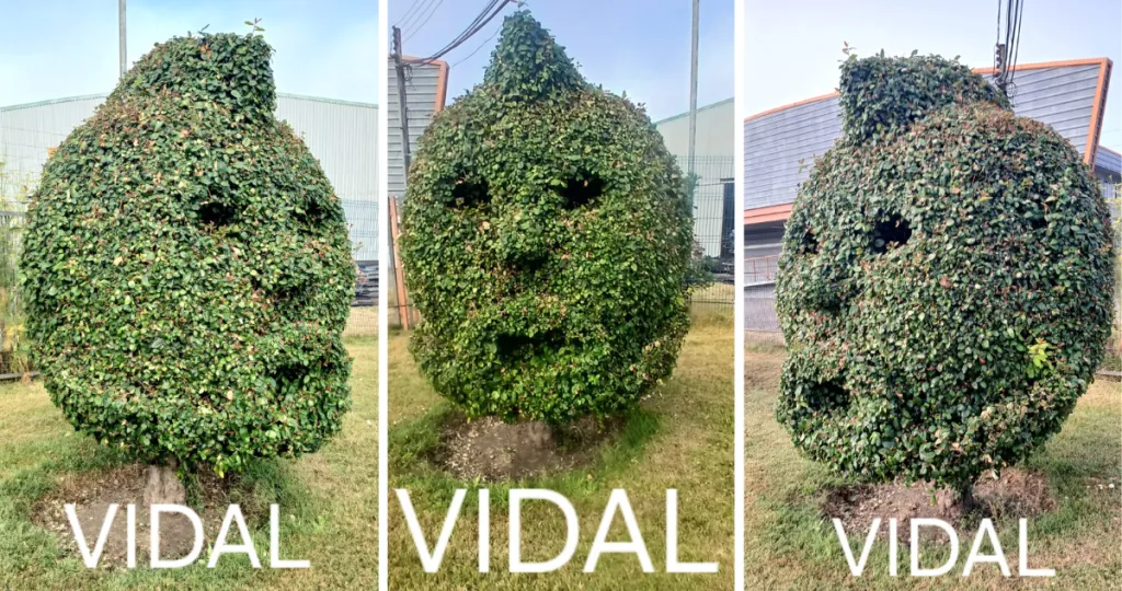 Así era el homenaje realizado al King antes de ser quemado. | Foto: Radio Biobío