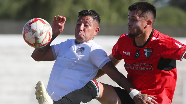 Leonardo Valencia y Ariel Martínez disputando el balón en el Clásico de Colonias que ganó Audax Italiano ante Palestino en la Copa Chile.