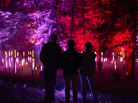 Para los amantes de la caminatas: Llega Light Cycles