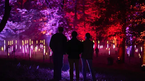 El evento de luces en el Parque Metropolitano comenzó su venta de entradas.