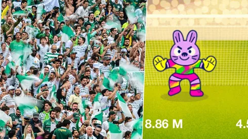 Hinchas de Palmeiras/Mini Cup