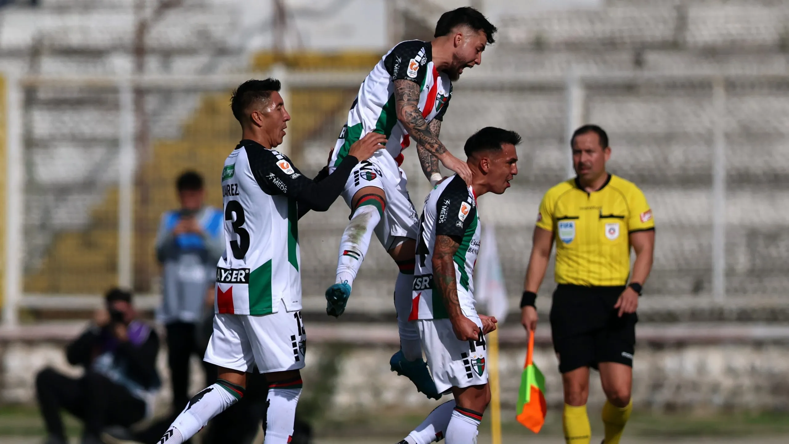 Palestino le entrega una linda noticia para el fútbol chileno. Foto: Javier Torres/Photosport