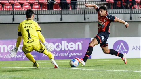 Gran campaña de los tomateros en el torneo.