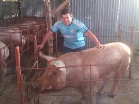 Semifinalista del Mundial Sub 20 del 2009 hoy cría chanchos