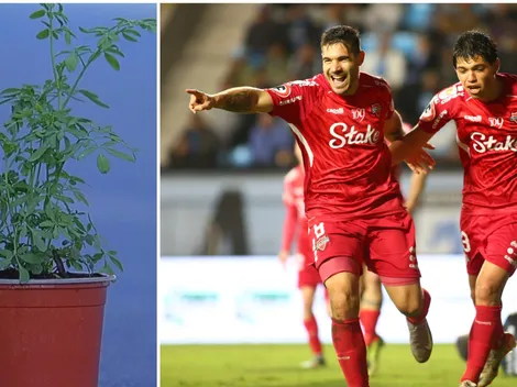 Tabla: La ruda de Deportes Iquique no pudo con la longaniza de Ñublense