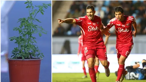 La ruda no pudo contrarrestar el poder de la longaniza de Chillán en la Liga de Primera.