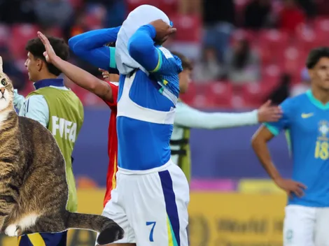 La "maldición del gato" tiene tiritando a todo Brasil