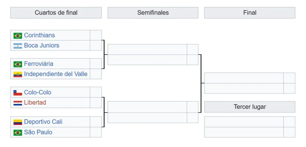 El cuadro de Copa Libertadores