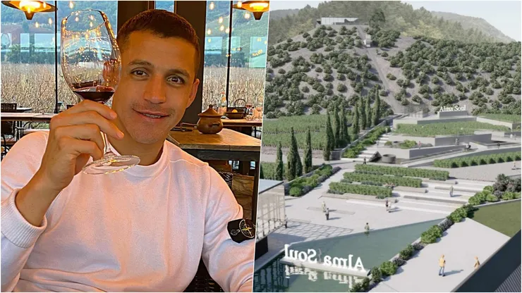 Alexis Sánche construye un viñedo AlmaSoul en el Maule