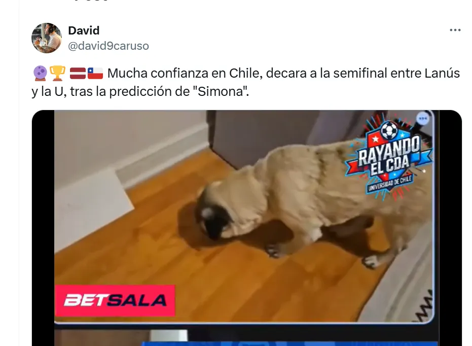 La prensa de Argentina también replicó la predicción de Simona. Foto: Twitter.