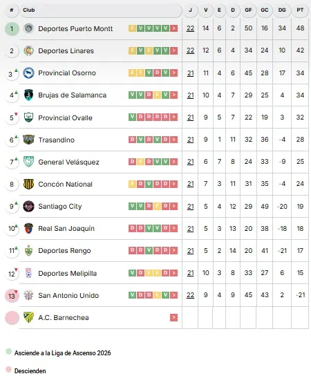 Así quedó San Antonio Unido en la Segunda División Profesional del Fútbol Chileno. | Foto: ANFP.
