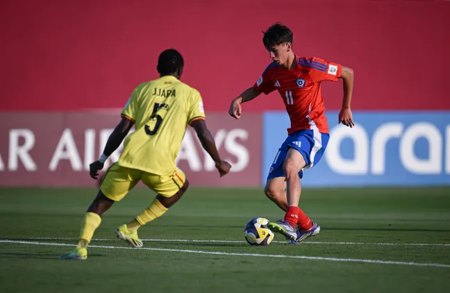 Foto: Markus Ulmer – Comunicaciones FFCH):