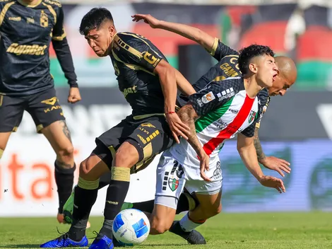 Palestino felicita a Coquimbo Unido con tradicional gesto europeo