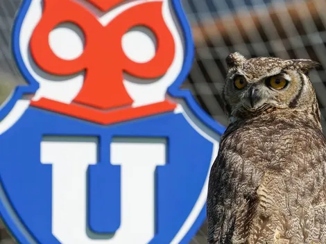 Urgente anuncio de la casa de estudios por el Chuncho y nombre de la U