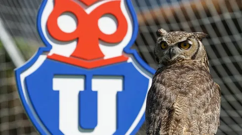 Director de Azul Azul, como representante de la casa de estudios, asegura que la U defiende el legado del Chuncho más allá del cuestionado Clark o la concesionaria de turno.
