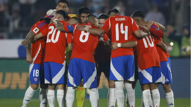 David Pizarro se refiere al presente de la Roja.