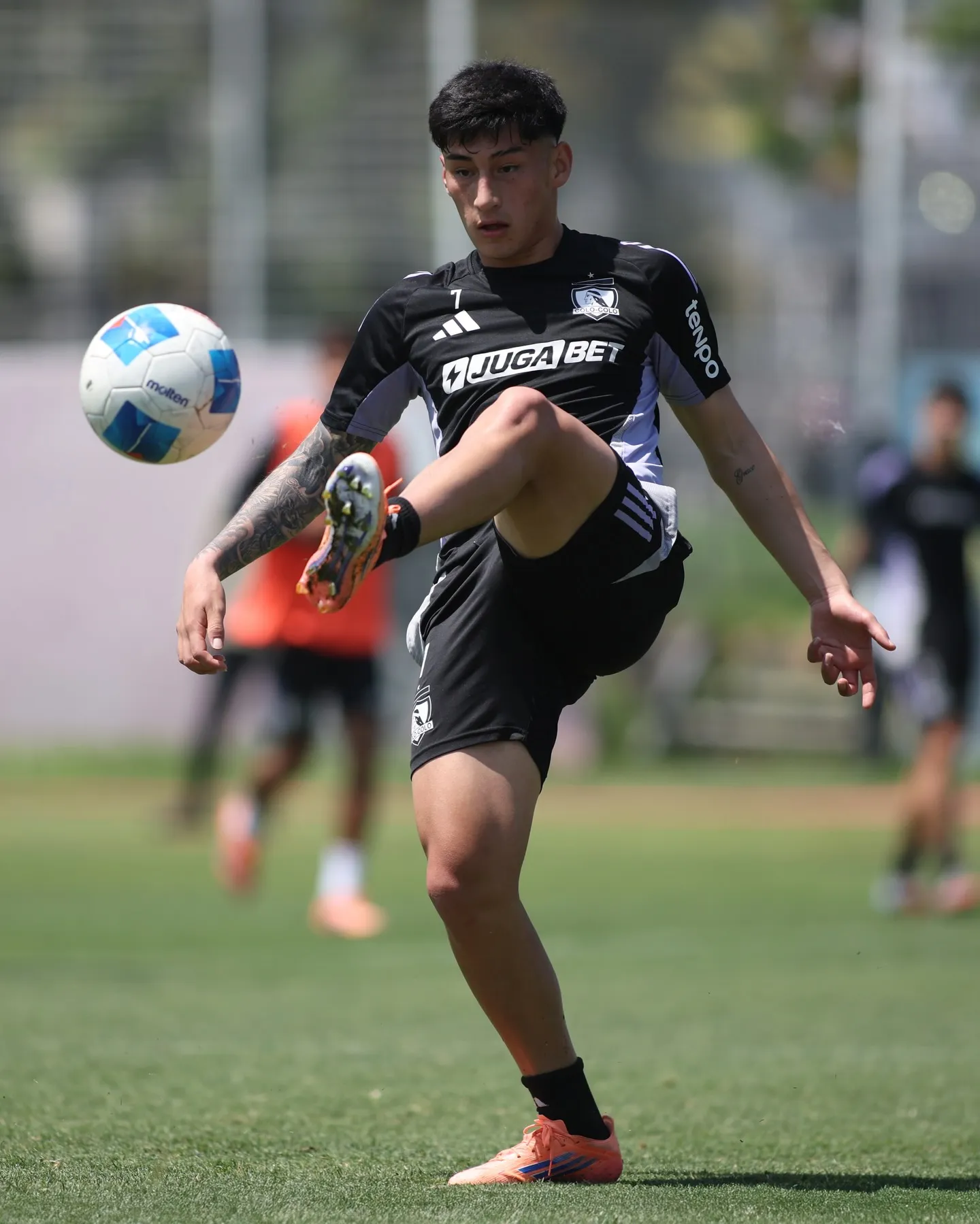 Francisco Marchant está de vuelta en Colo Colo. Foto: Photosport.