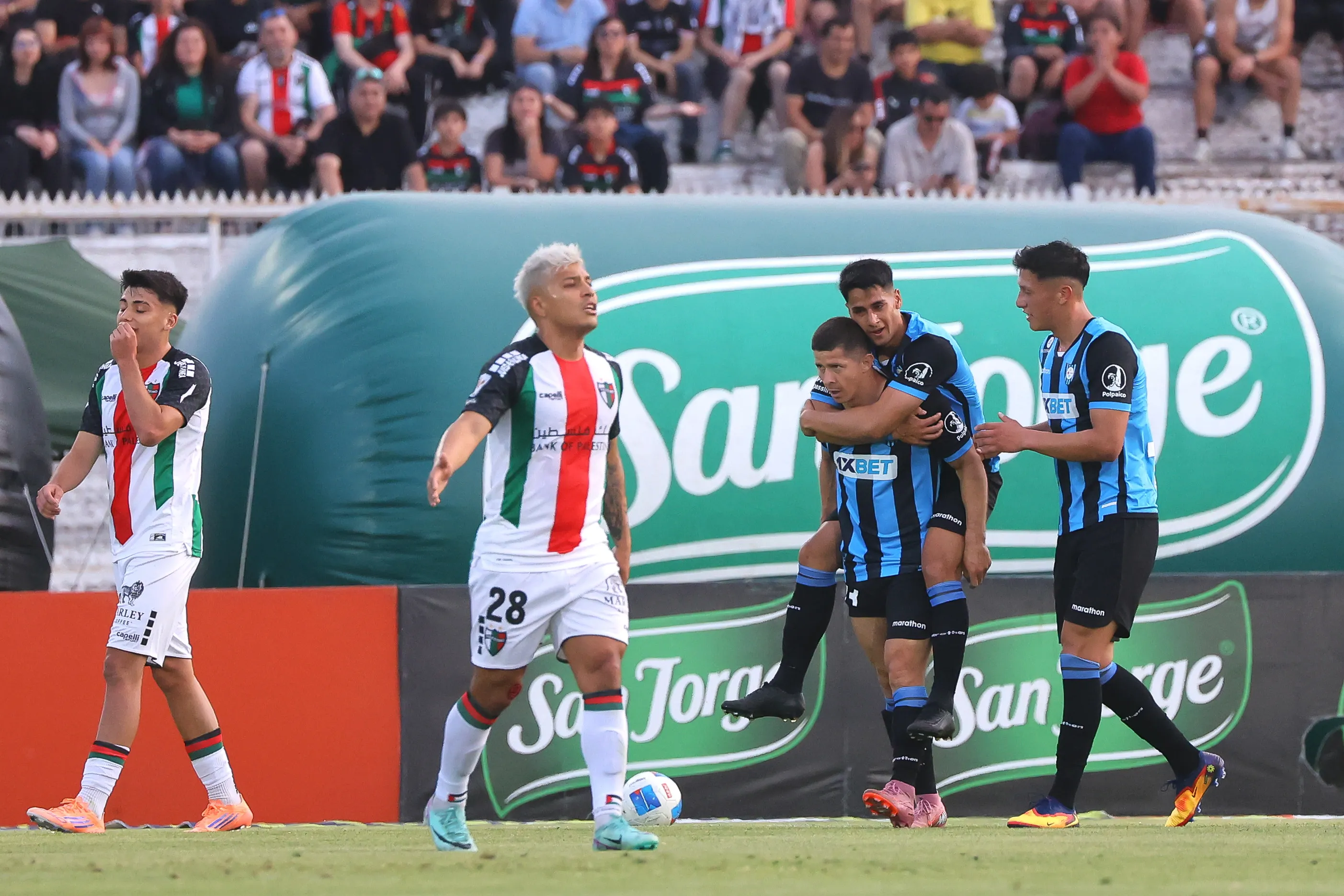 Así celebró Cris Martínez su golazo ante Palestino. (Jonnathan Oyarzun/Photosport).