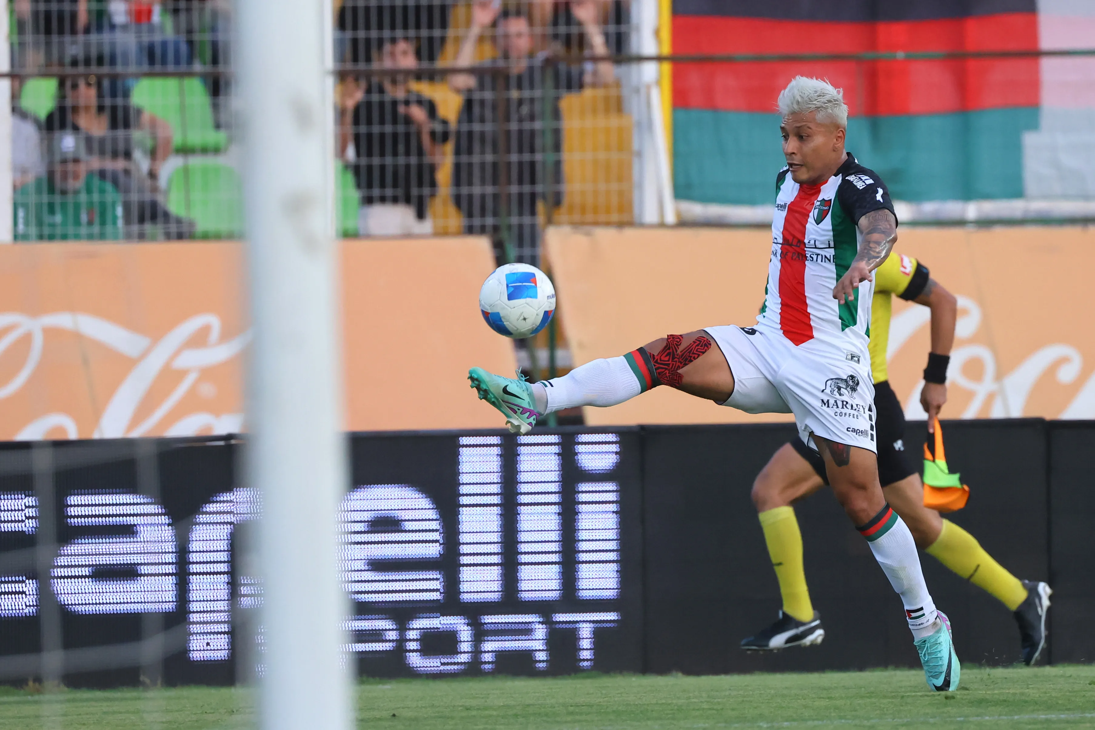 Dilan Zúñiga tiene 29 años y puede tener otra chance en el extranjero. Ya jugó en México. (Jonnathan Oyarzun/Photosport).