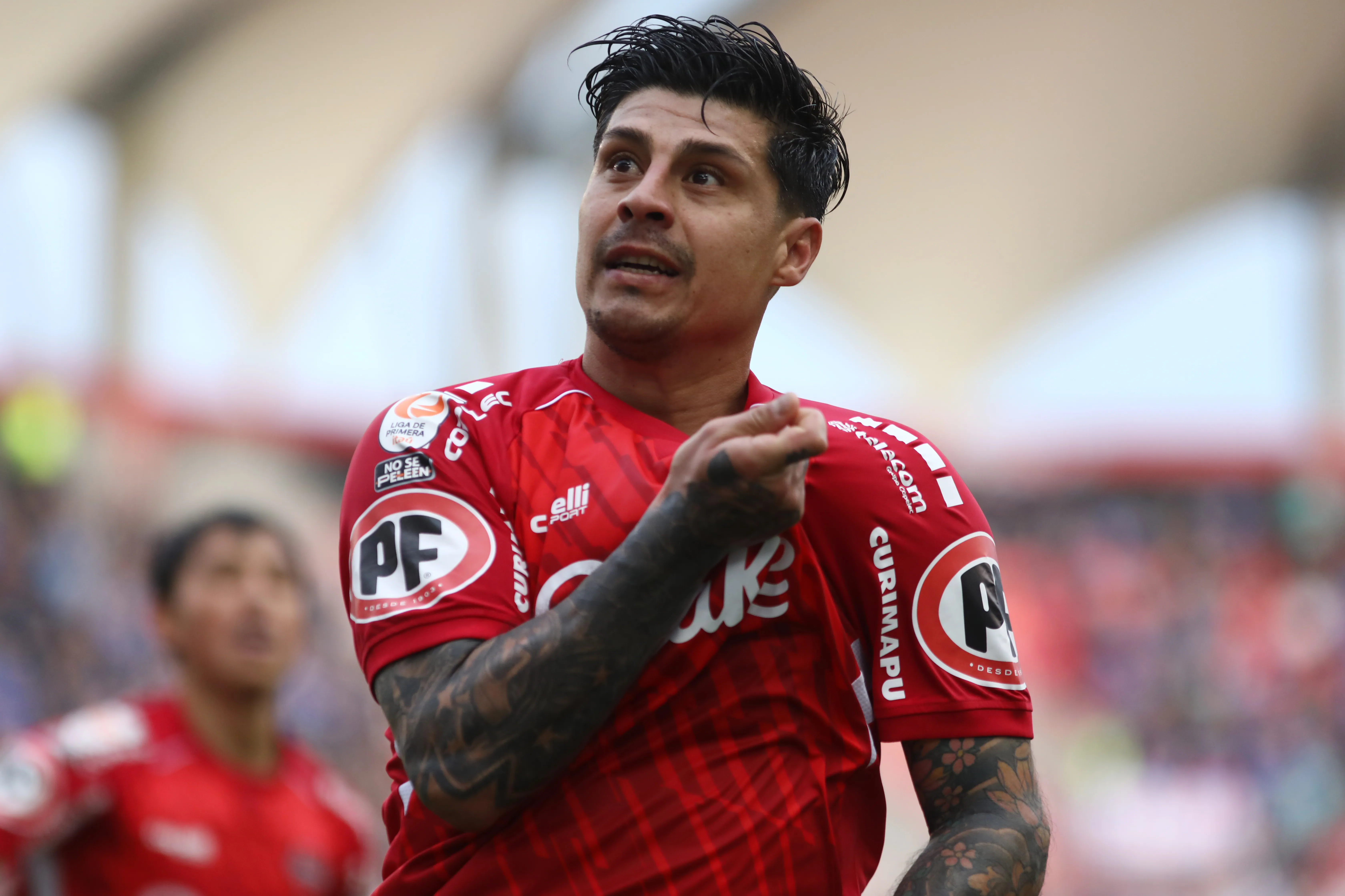 Patricio Rubio vuelve a Everton. Foto: Mauricio Ulloa/Photosport