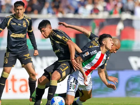 Para acompañar a Palavecino: la UC busca a otro campeón