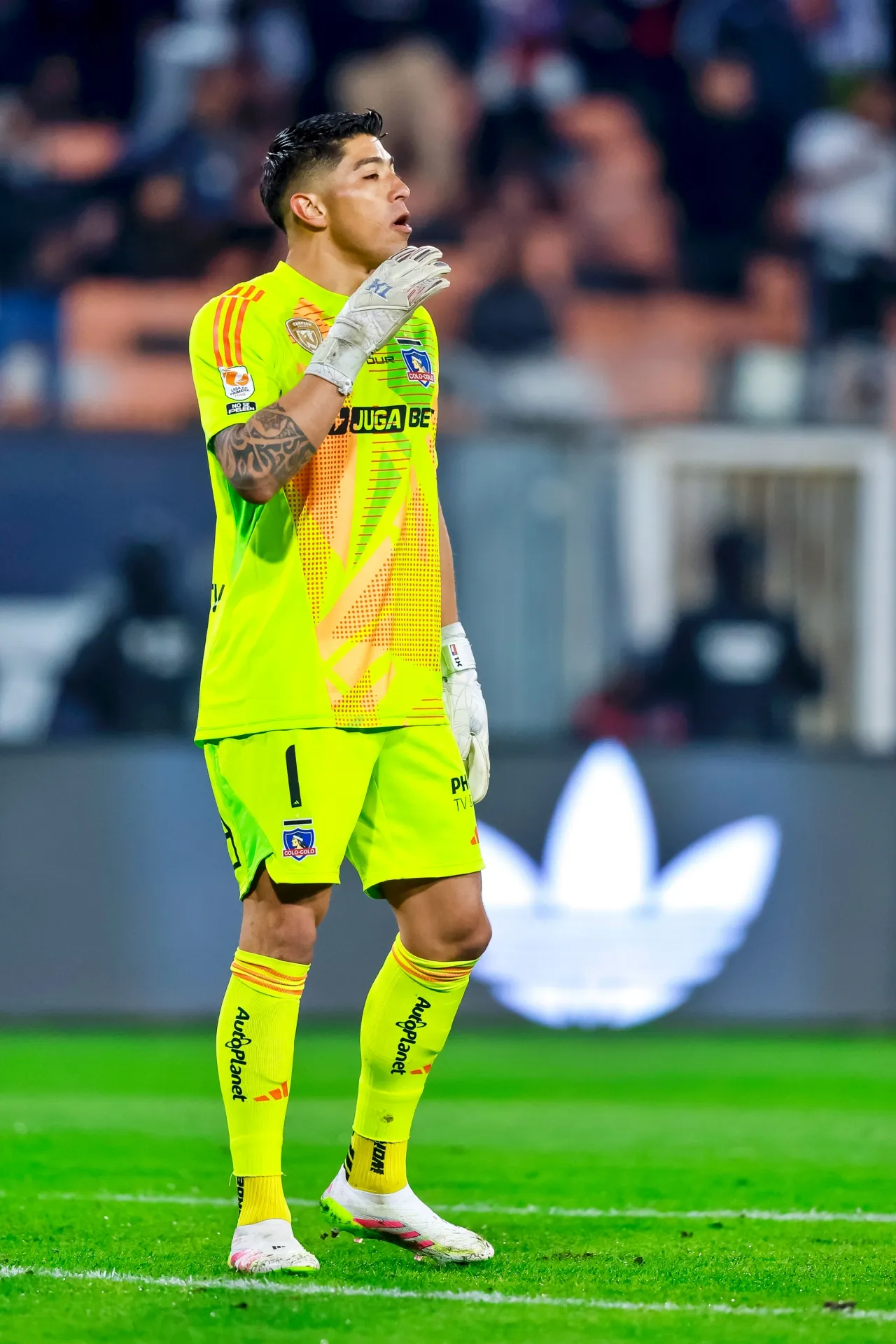 Brayan Cortés de vuelta en Colo Colo tras su paso por Peñarol (Photosport)