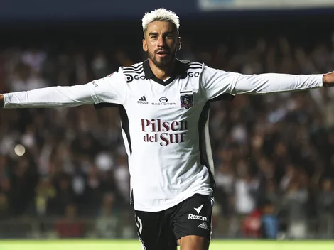 La razón por la que el Gato Lucero es una verdadera opción en la U