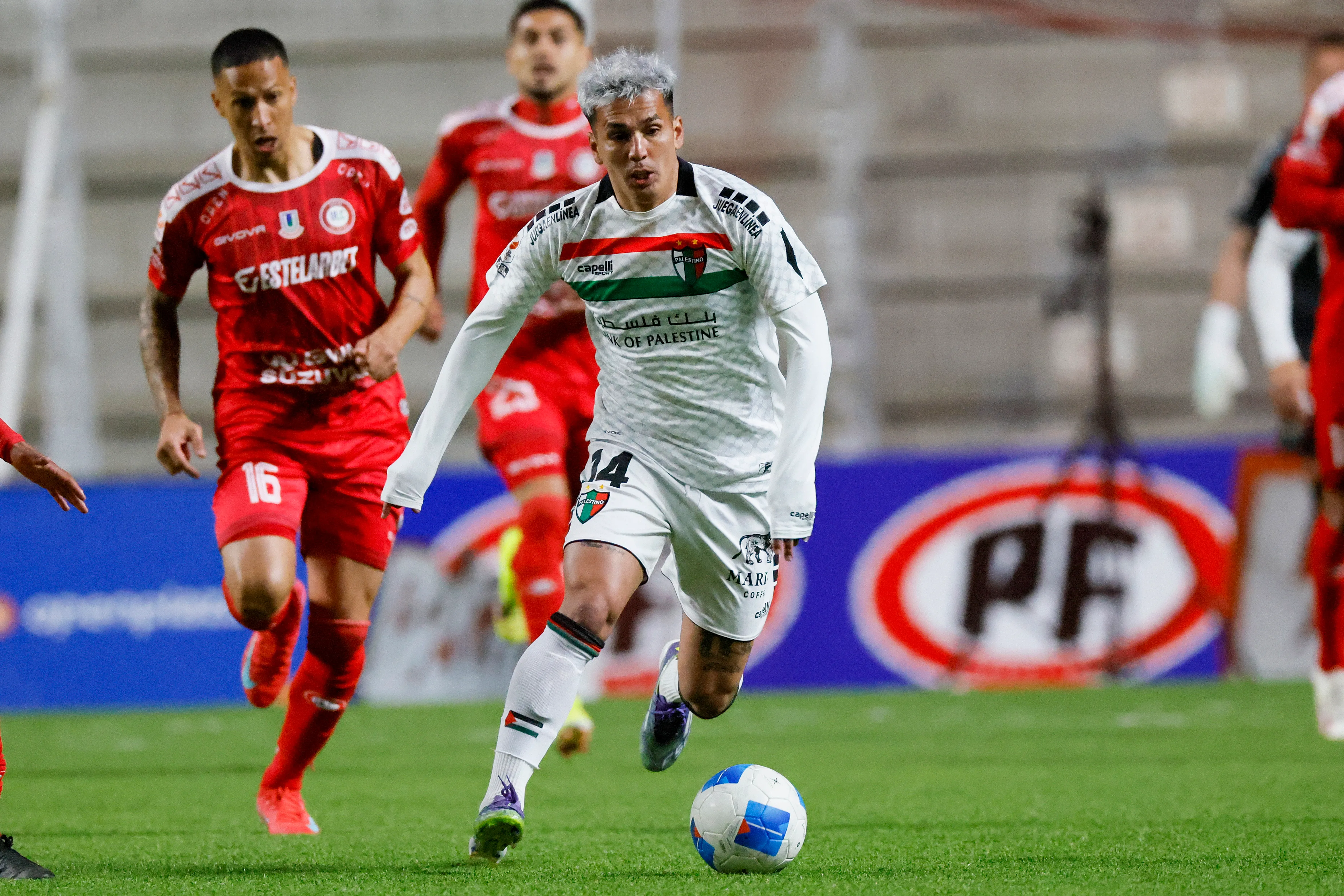 Joe Abrigo está en la pretemporada de Palestino. Andres Pina/Photosport