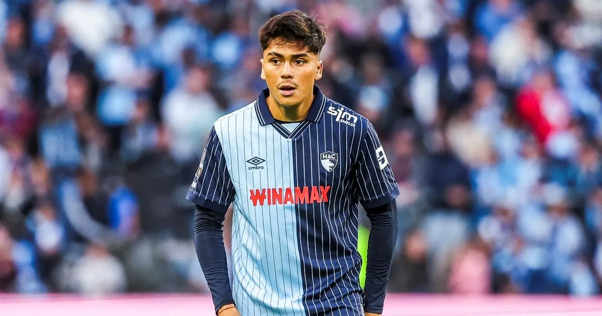 Damián Pizarro no ha jugado mucho en el fútbol francés. Imagen: Le Havre