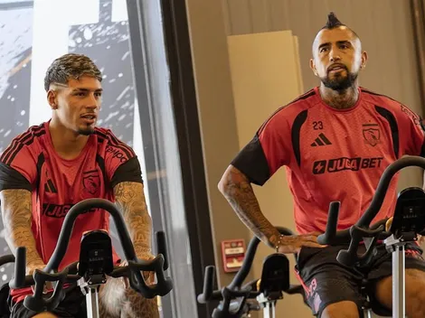 Revelan que Vidal fue clave en venta de Saldivia a Brasil