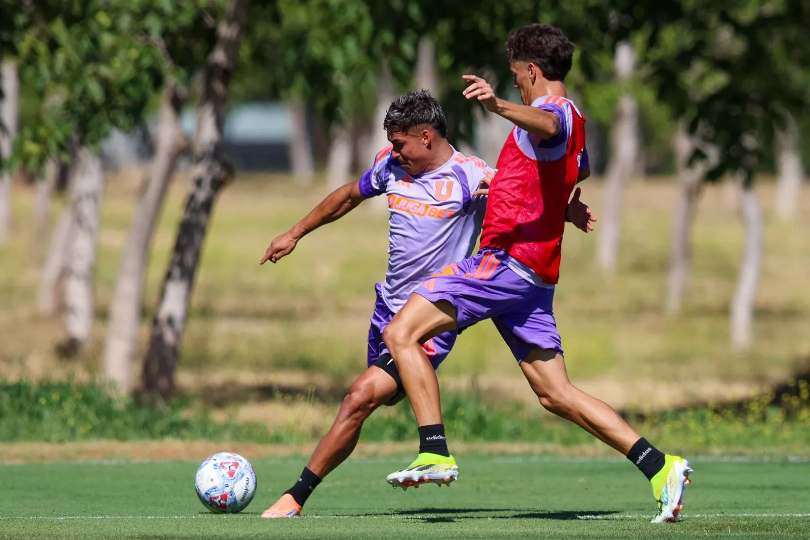 U de Chile tendrá sus primeros duelos de la pretemporada 2026 con dos choques contra Racing. Foto: U de Chile.
