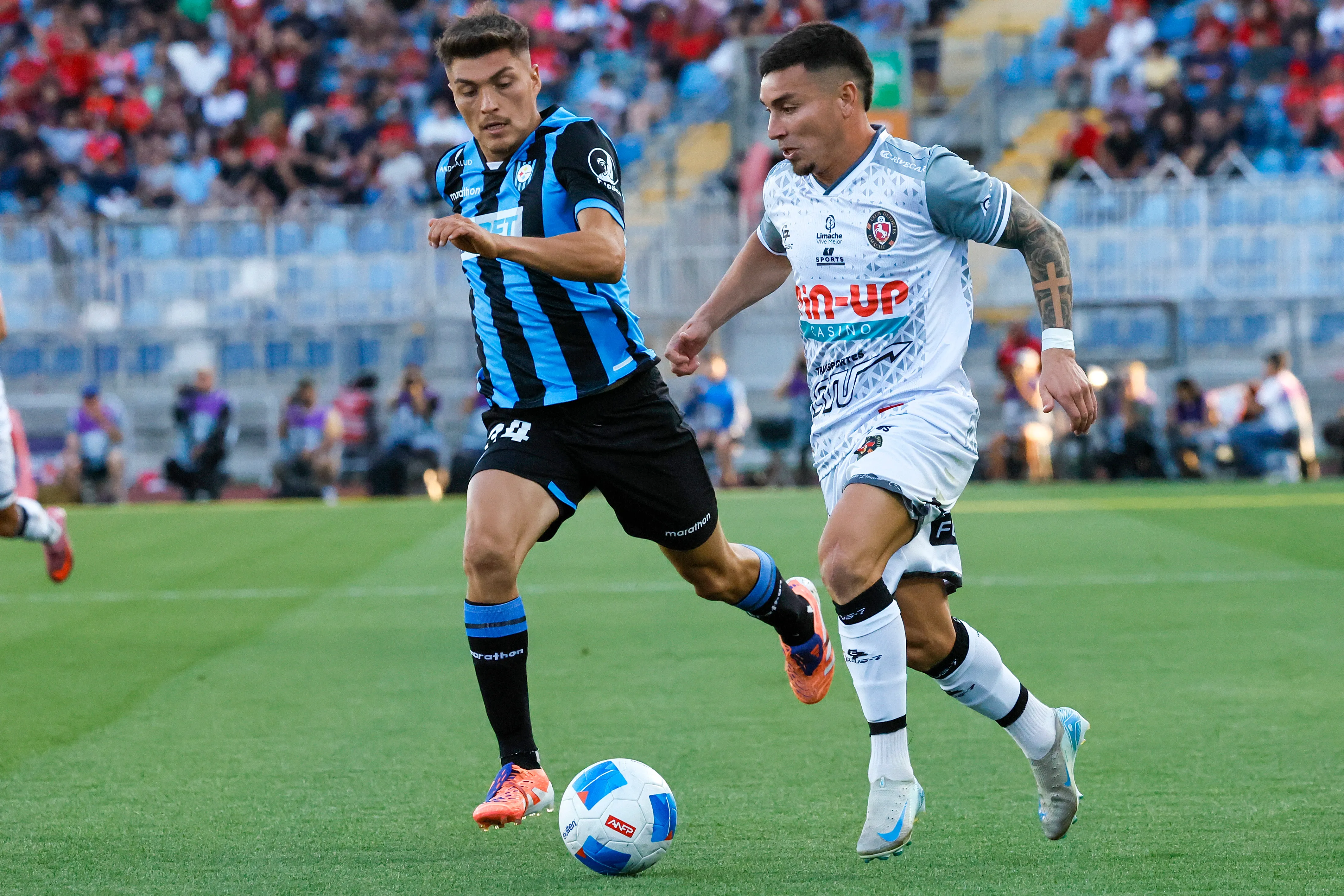 Daniel Castro no llega a Colo Colo. Foto: Andres Pina/Photosport