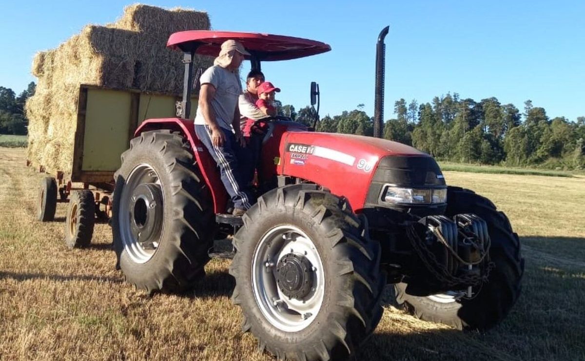 Lideró a la Generación Dorada, fue campeón y ahora vive como ermitaño: “Pude juntar plata”