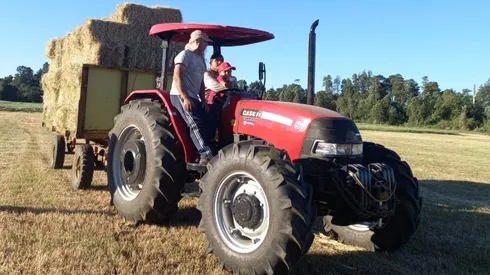 La nueva vida de Dagoberto Currimilla.
