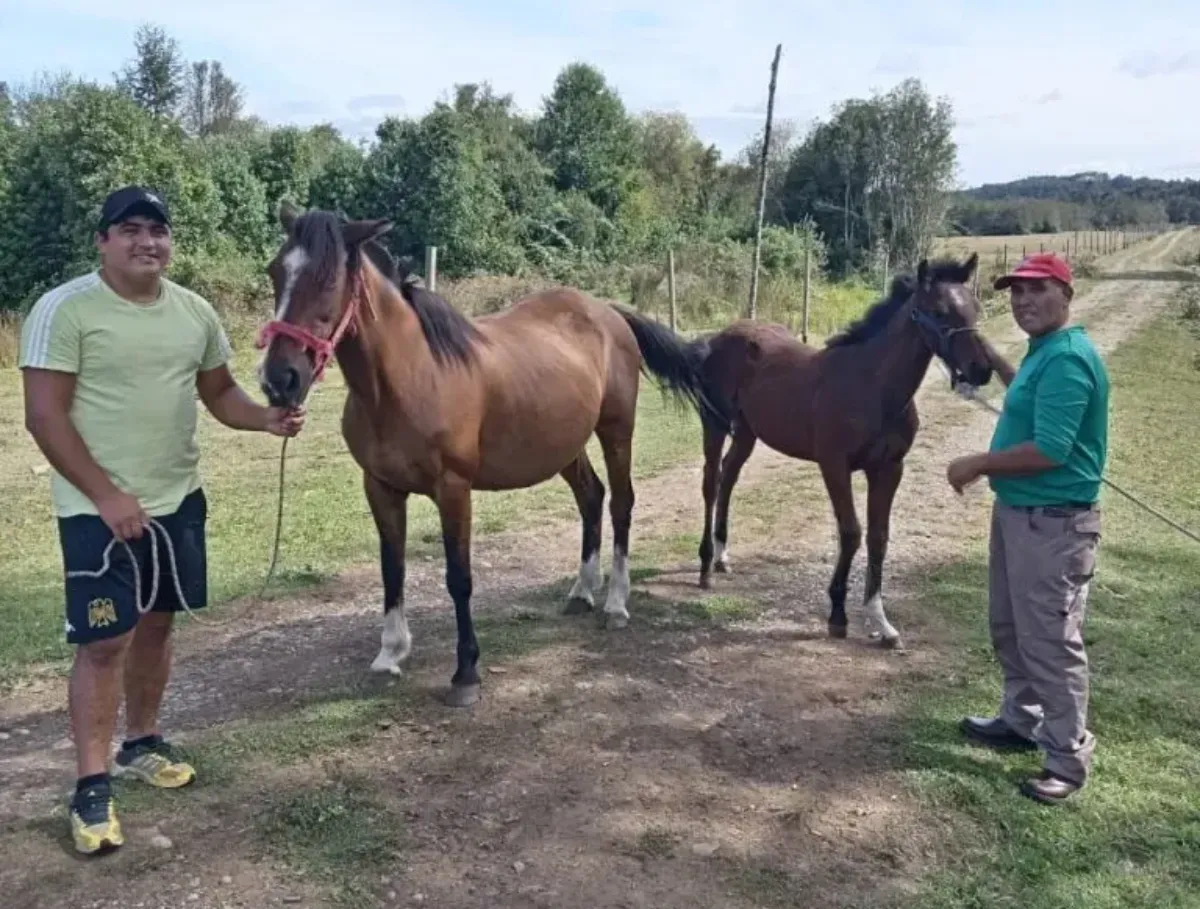 Dagoberto Currimilla goza en el campo.