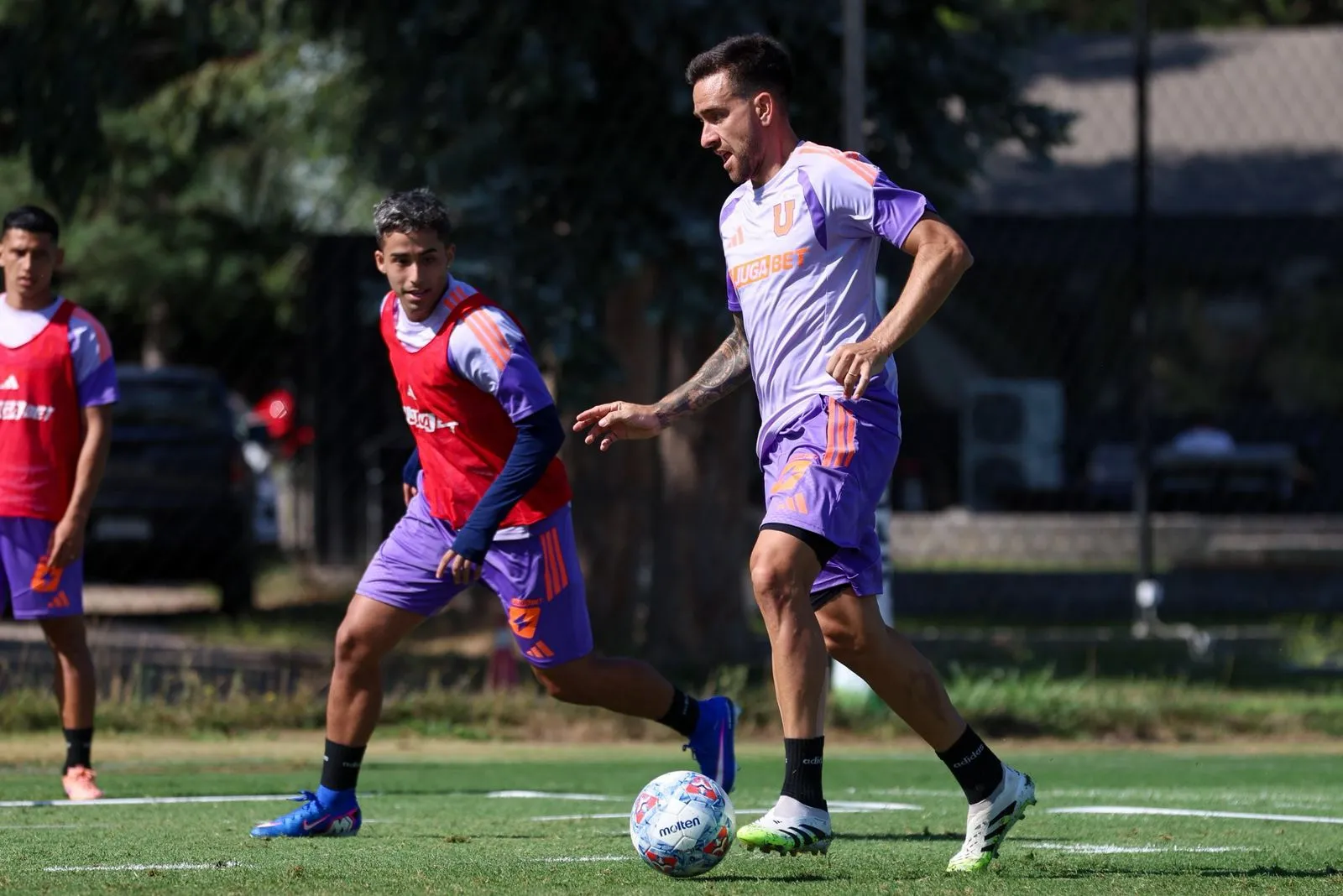 La U jugará a puertas cerradas en el Centro Deportivo Azul. Foto: U de Chile.