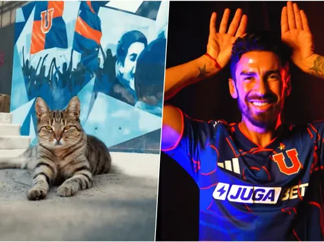 Lucero refuerzo oficial: la U soltó un gato en el CDA