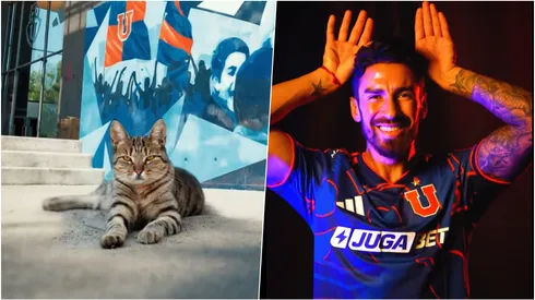 El Gato Lucero es el cuarto refuerzo de la U 2026.
