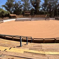 Final para Criadores se toma el fin de semana en Cauquenes