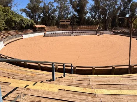 Final para Criadores se toma el fin de semana en Cauquenes