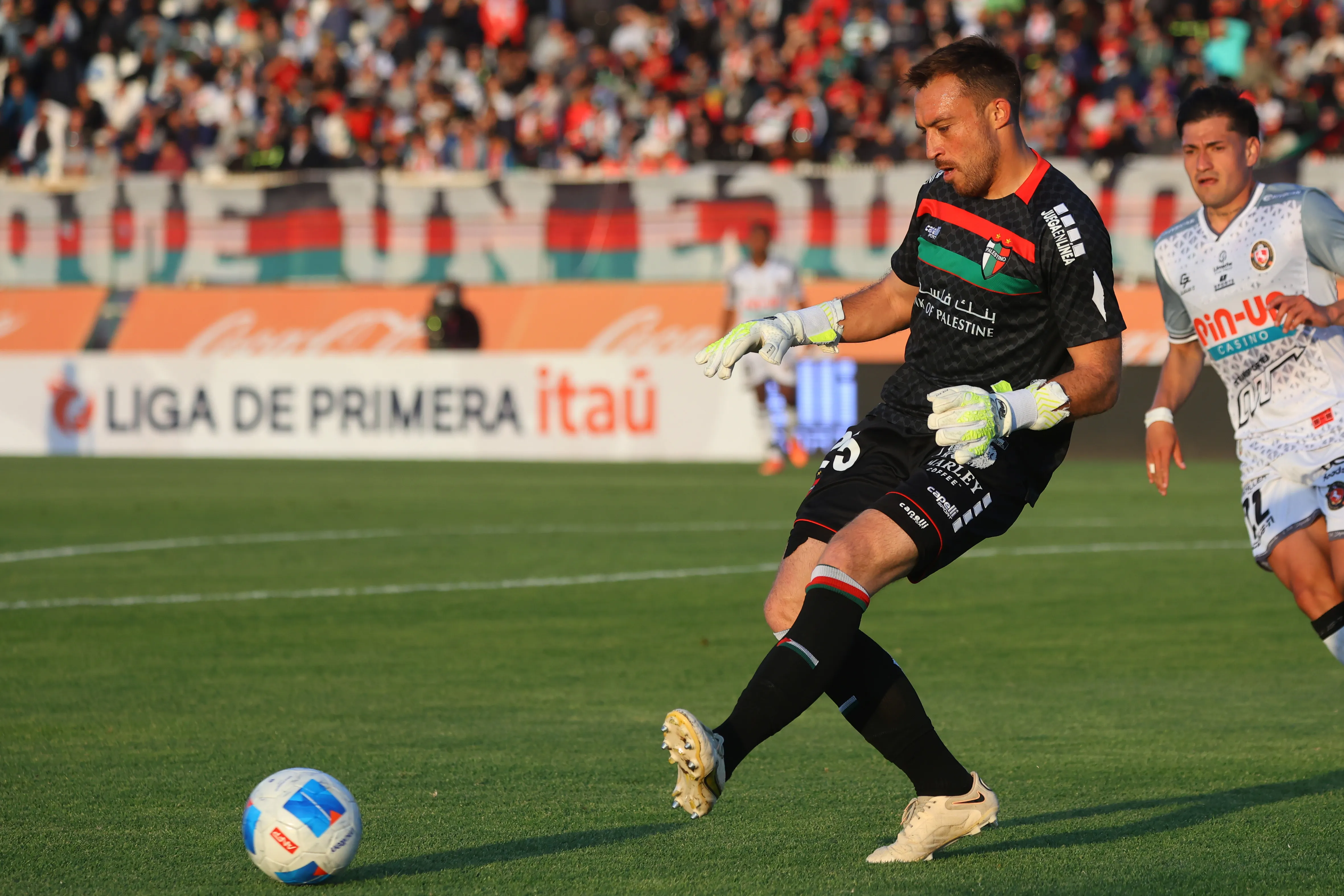 Sebastián Pérez se queda en Palestino el 2026/Photosport