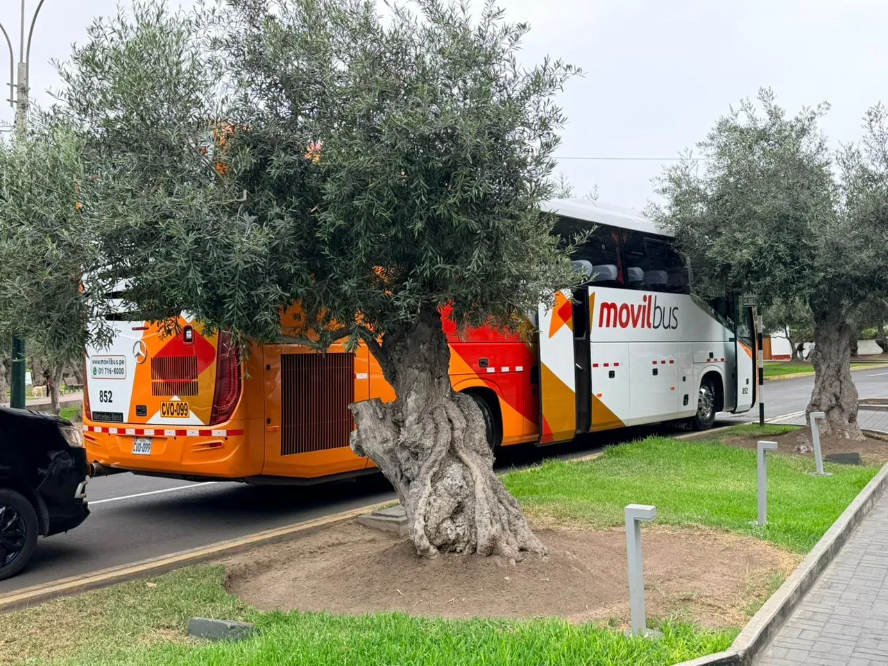 El bus que traslada a la U en Perú.
