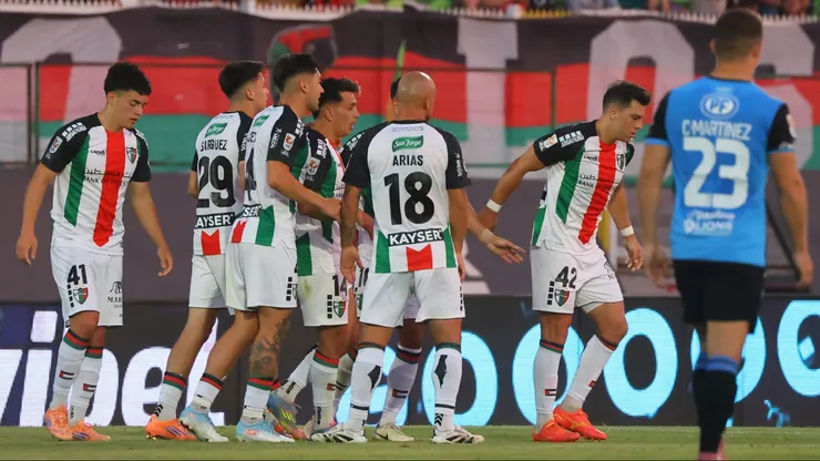 Jugador de Palestino tiene nuevo club.