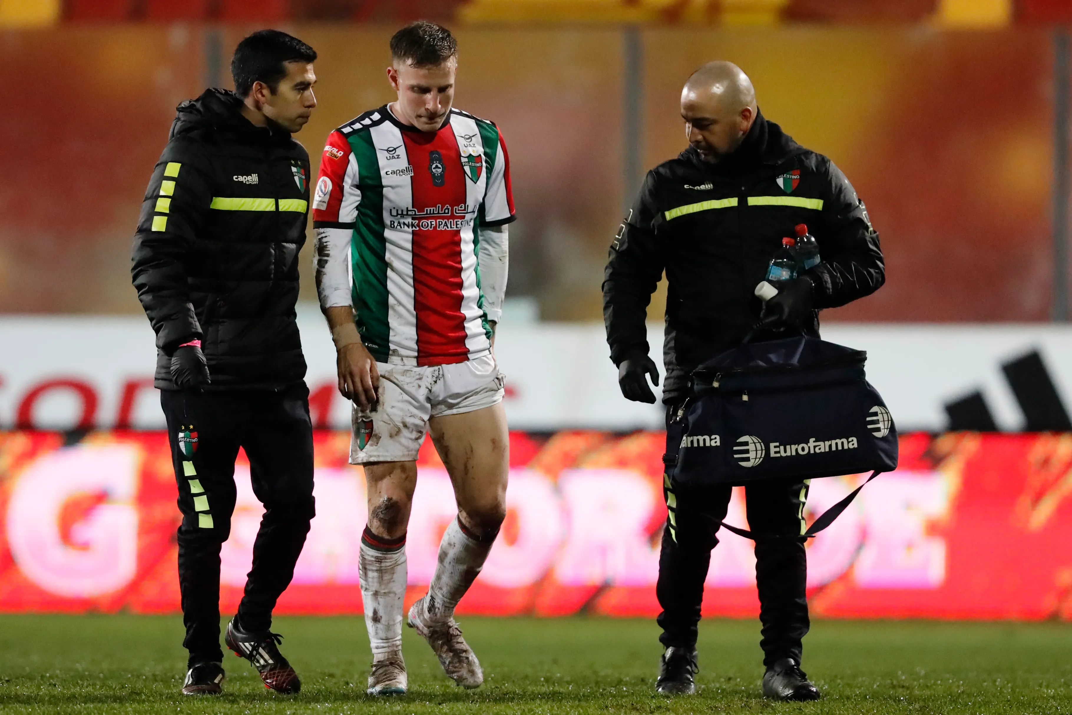 Bruno Barticciotto ya tuvo problemas físicos en Palestino. (Marcelo Hernandez/Photosport).