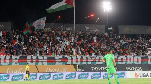 Palestino instaló pasto sintético alrededor de la cancha de La Cisterna